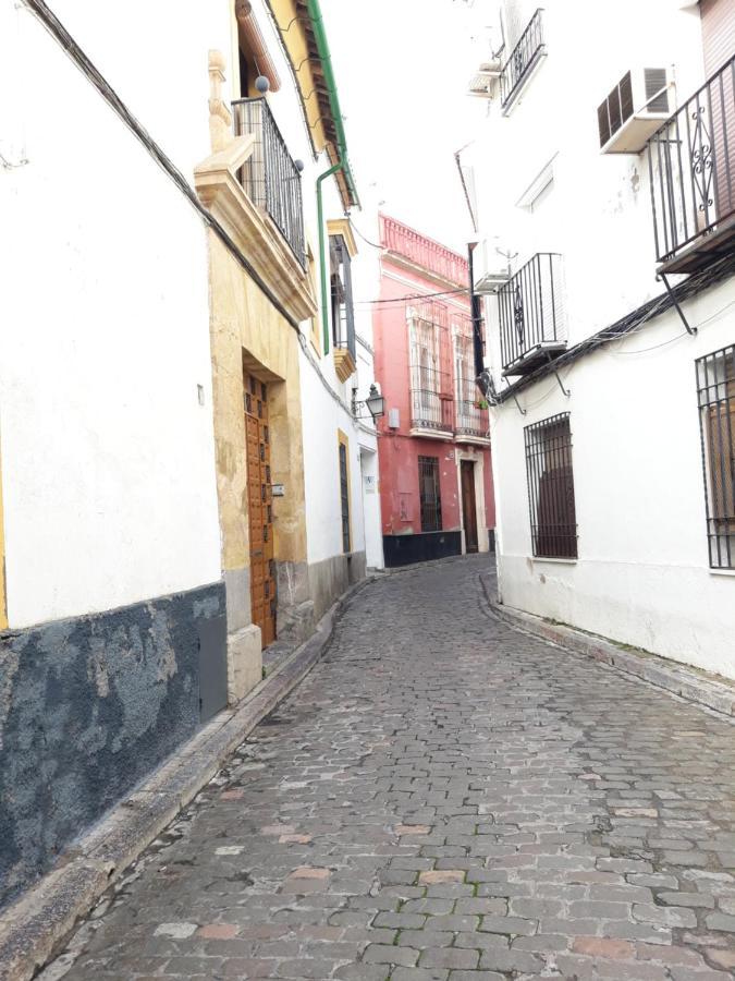 Apartamento Pleno Centro Wallada Cordoba Dış mekan fotoğraf